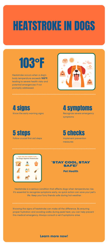 Infographic showing dog heatstroke signs, first aid steps, and prevention tips