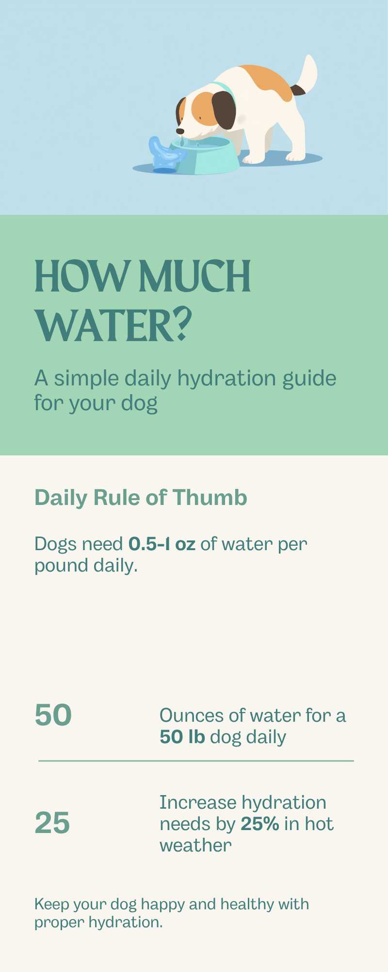 Pastel infographic showing daily water rules, warning signs, a quick gum test, and hydration tips for dogs