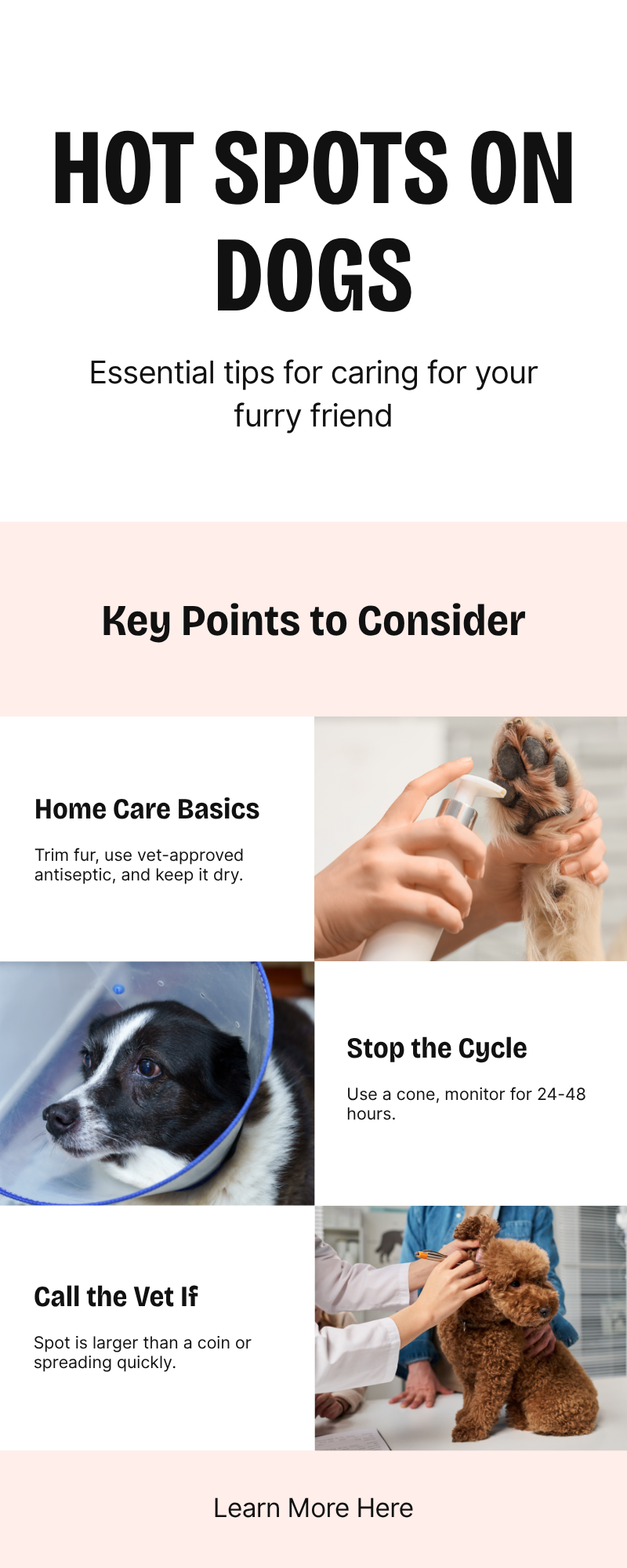 Pastel infographic summarizing home care basics, stopping the lick cycle, when to call the vet, and preventing flare-ups for hot spots on dogs.