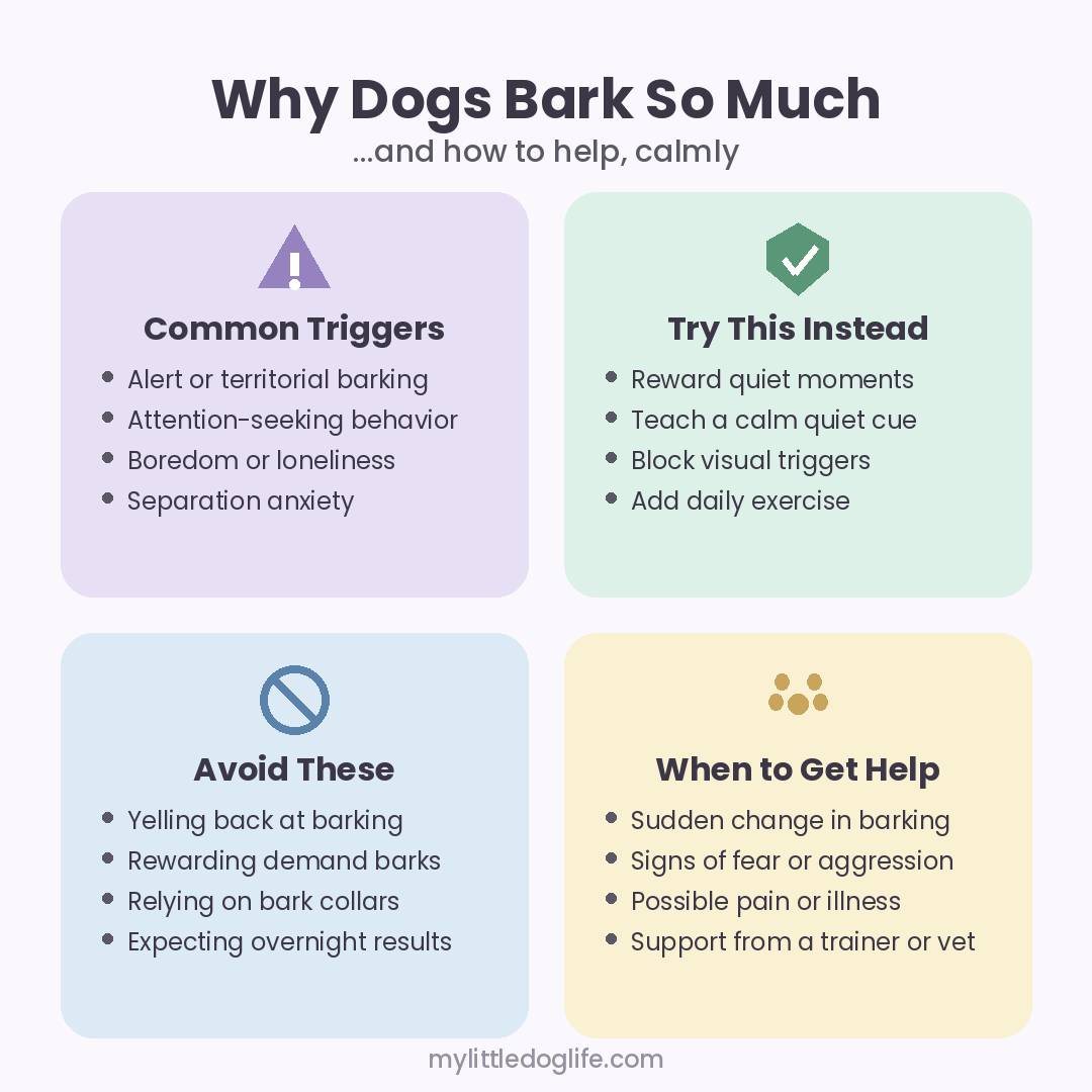 Infographic showing why dogs bark so much and how to help calmly, with four cards: common triggers, things to try, mistakes to avoid, and when to get help.