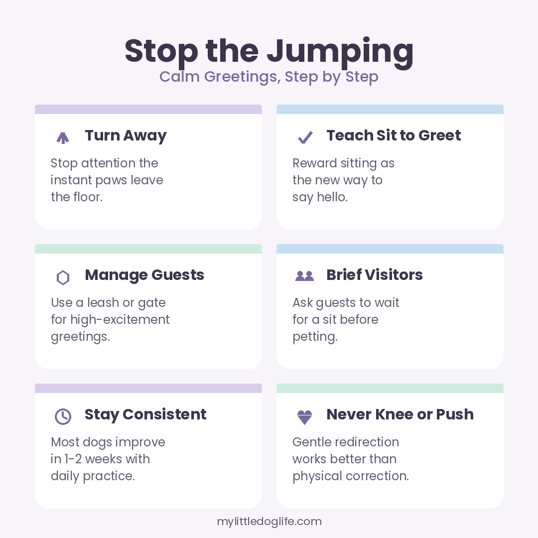 Pastel infographic showing six tips to stop a dog from jumping on people, including turn away, teach sit to greet, and stay consistent.