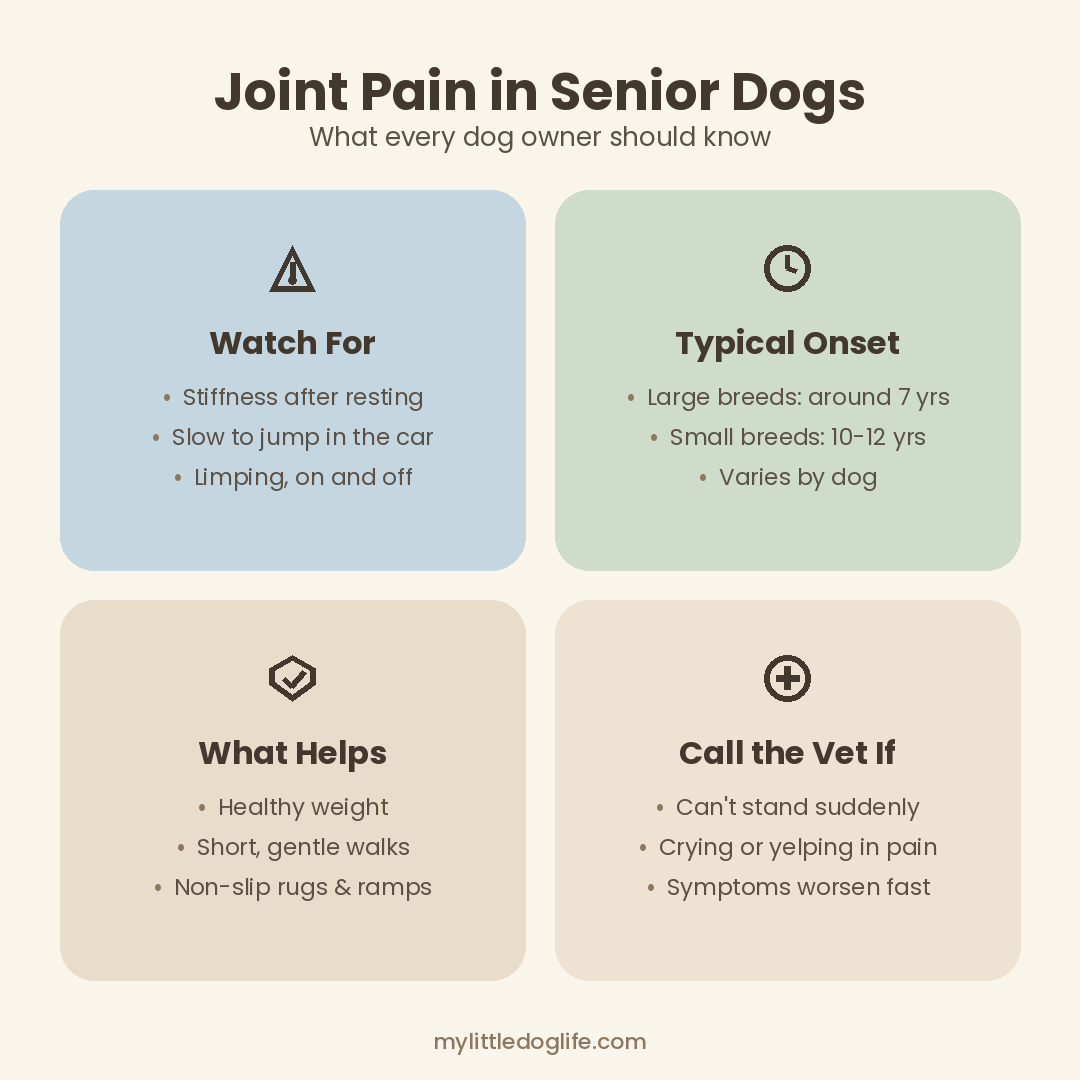 Pastel infographic summarizing joint pain signs, typical onset age, helpful changes, and when to call the vet for senior dogs