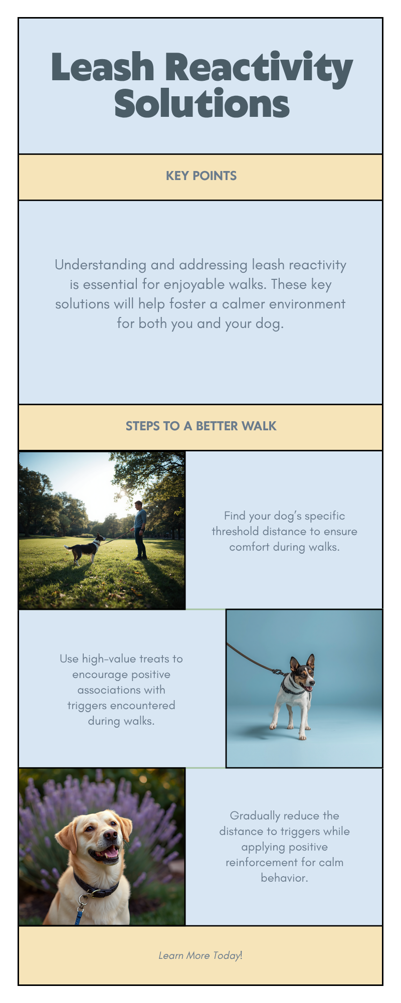 Infographic showing how to stop leash reactivity in dogs with training steps and checklist