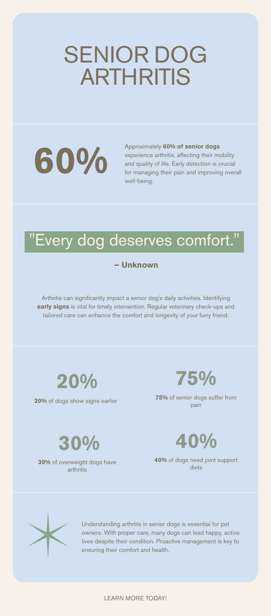 Pastel infographic with four senior dog arthritis tips: watch for signs, weight matters, comfort at home, and vet care.