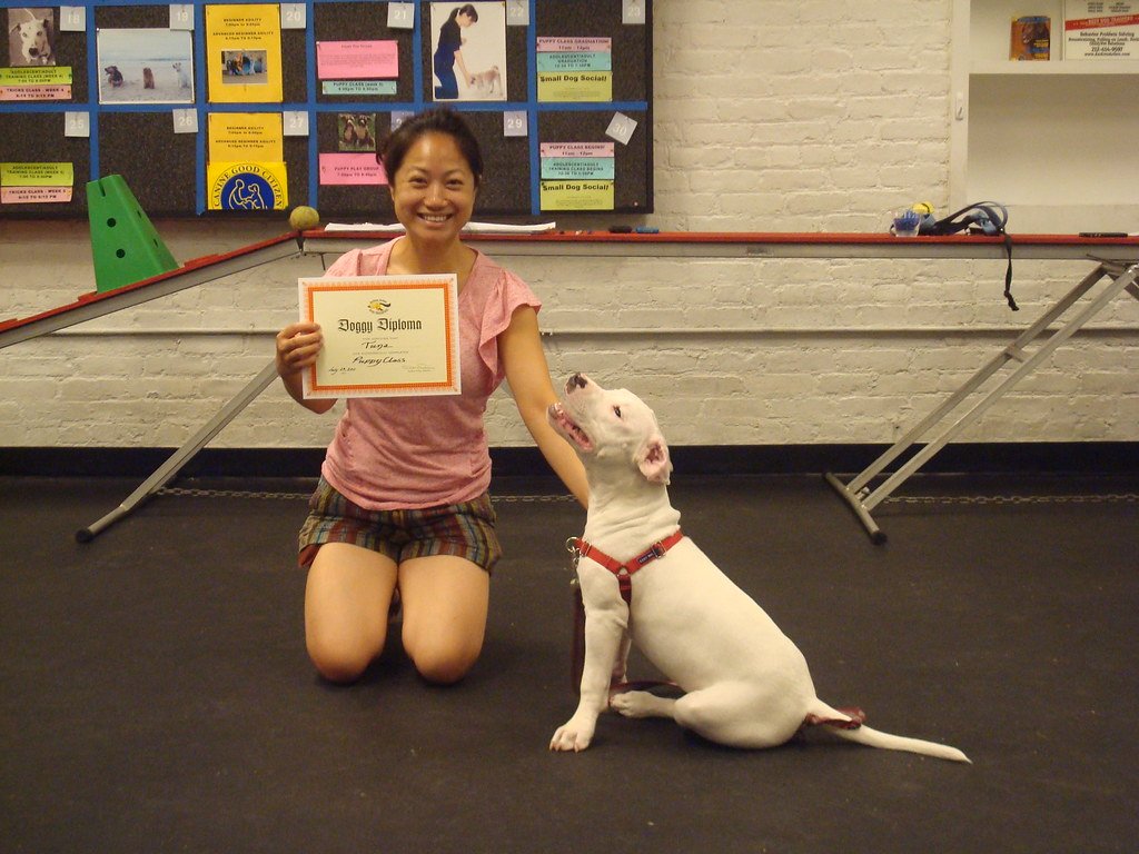 A dog sitting next to its owner who is holding a puppy training class diploma.